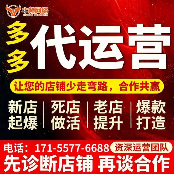 六盘水电商代运营