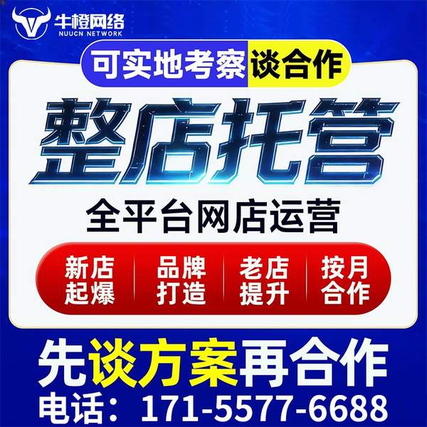 六盘水电商代运营