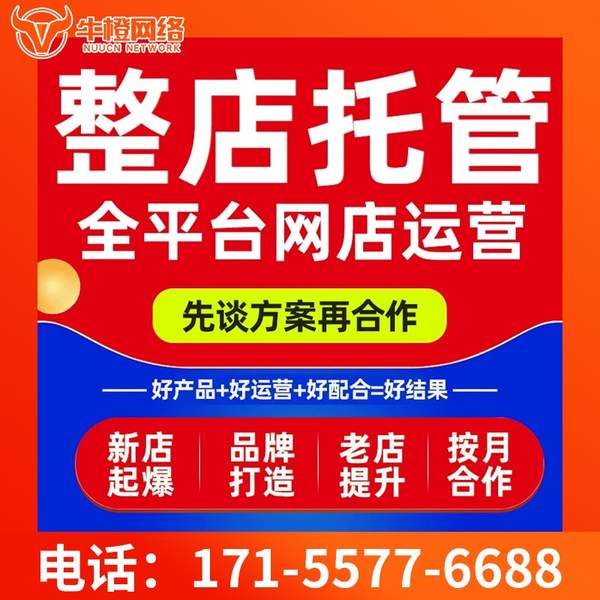 六盘水电商代运营