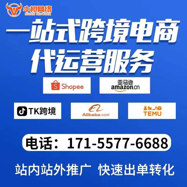 六盘水电商代运营