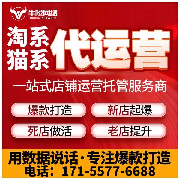 六盘水电商代运营